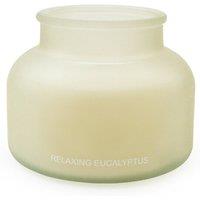 Relaxing Eucalyptus Frosted Candle