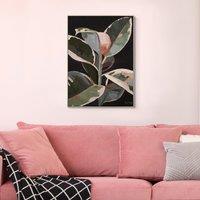 52x72cm The Ficus Robusta Printed Canvas