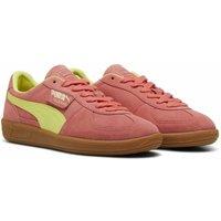 Palermo Suede Trainers