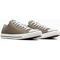 All Star Ox Seasonal Colour Trainers