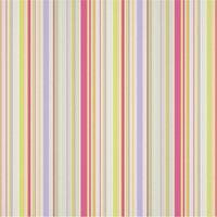 50x1000cm What a Hoot Wallpaper