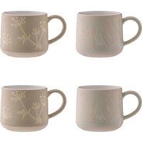 Set of 4 Botanical Mugs