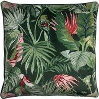 Amazon Creatures Tropical Filled Cushion