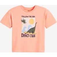 Dinosaur Print T-Shirt with Crew Neck