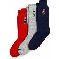 Gift Set of 3 Pairs of Polo Bear Socks in Cotton