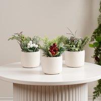 Set of 3 17cm Christmas Plants