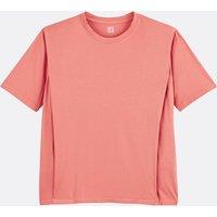 Crew Neck T-Shirt in Cotton with Short Sleeves
