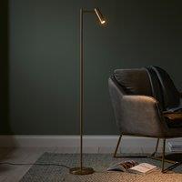 Dedicated Reader Floor Lamp