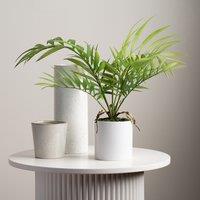 40cm Artificial Fern Tree in Plastic Pot