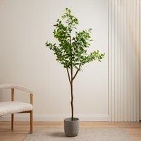 180cm Artificial Real Touch Ficus Tree