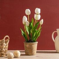 45cm Tulip Spray in Pot