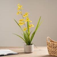 58.5cm Yellow Orchid in Cement Pot
