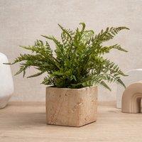 37cm Fern in Travertine Style Pot