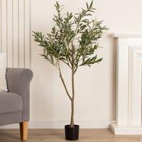 120cm Olive Tree