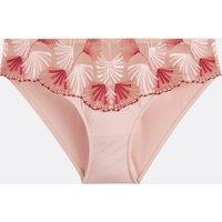Azalee Microfibre Knickers with Embroidered Tulle