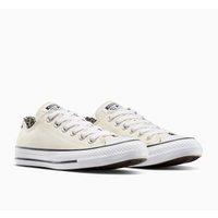 All Star Seasonal Ox Archive Print Trainers