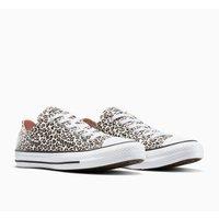 All Star Seasonal Ox Archive Print Trainers