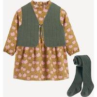 Dress, Jacket and Tights Outfit