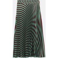 Long Pleated Striped Skirt