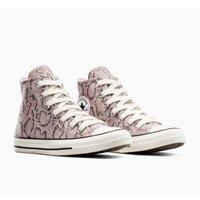 CTAS Classic Graphics Trainers