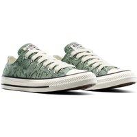 Chuck Taylor All Star Classic Graphics Trainers
