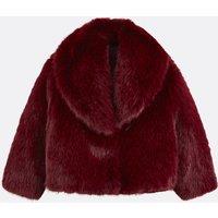 Short Coat with Press Stud Fastening For Full Winter