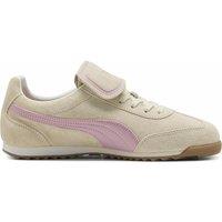 Arizona Premium Trainers