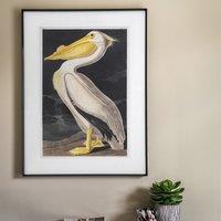 60x90cm Pellicano Framed Art