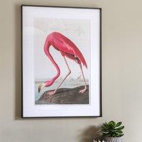 60x90cm Wading Flamingo Framed Art