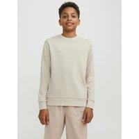 Plain Crew Neck Sweatshirt