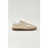 Tb Leather Trainers.490 Rife