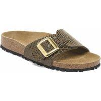 Catalina Mules