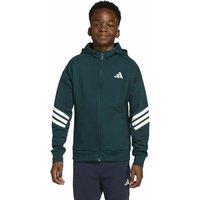 Zip-Up Sweatshirt in Brushed Fleece