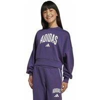 Crew Neck Sweatshirt in Non-Scratch Fleece