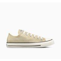 Chuck Taylor All Star Shine Trainers