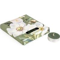 Set of 9 White Poppy & Sage Tealights