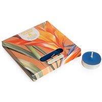 Set of 9 Paradise Flower & Mango Tealights