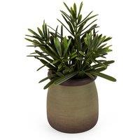 16.5cm Artificial Rosemary in Pot