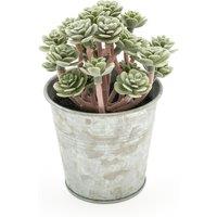 13cm Artificial Sedum Succulent in Tin Pot
