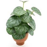 30cm Artificial Chinese Money Plant in Pot
