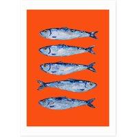 Sardines Orange by Alice Straker