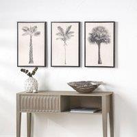 Set of 3 Natural and Black Palm Tree Print Canvases with Black Frames