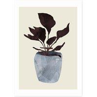 Country Plant by Dan Hobday