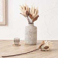 Set of 6 71cm Natural Apricot Protea Stems