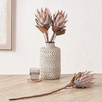 Set of 6 71cm Mulberry Brown Protea Stems
