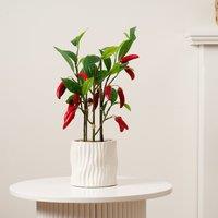 49cm Artificial Chilli Plant in Ceramic Pot