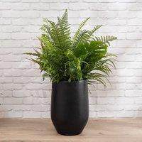 102cm Artificial Mixed Fern Container Black