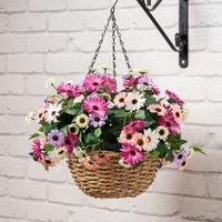 56cm Artificial Mixed Daisy Hanging Basket