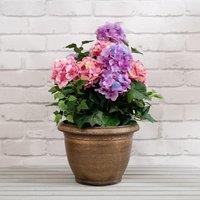 55cm Artificial Pink/Purple Hydrangea in Pot