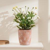 35cm Artificial White Daisy in Terracotta Pot
